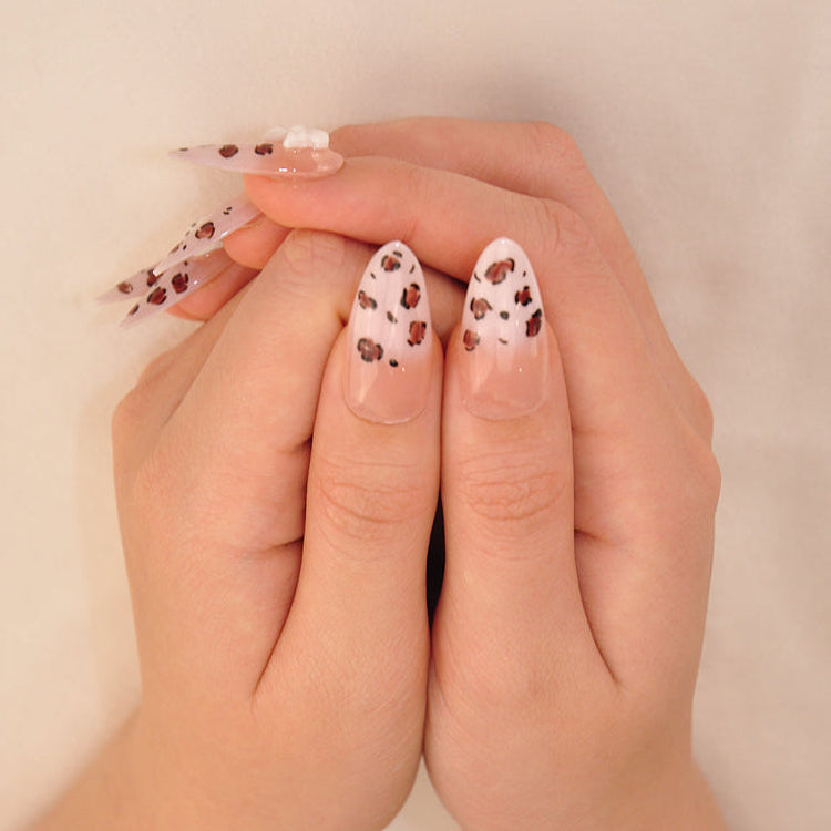 Kitty Chic Spots